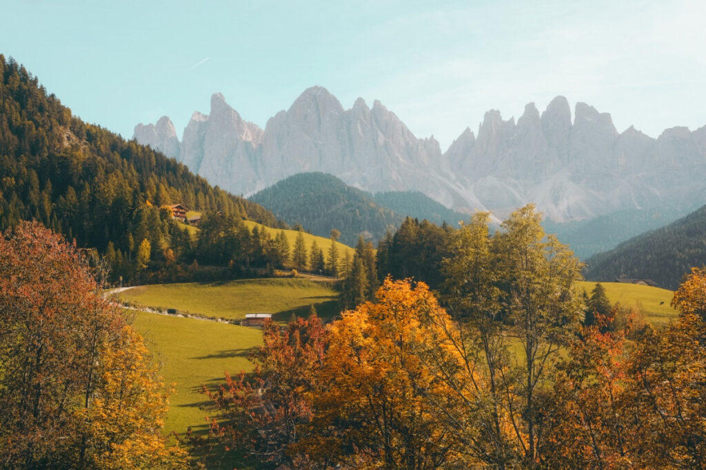 Natures 01 1024x683